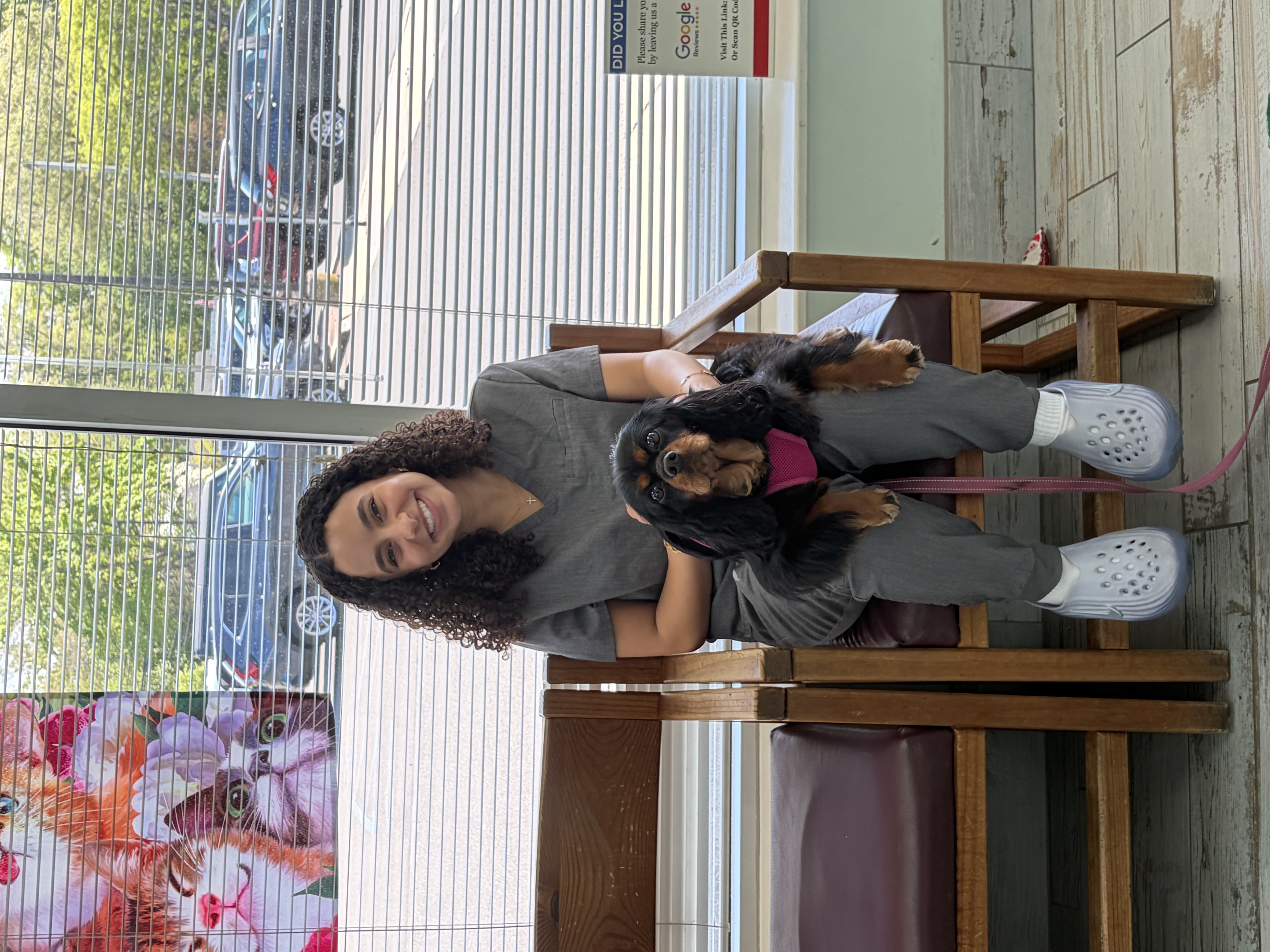 Veterinary technician at the front desk holding a small dachshund patient